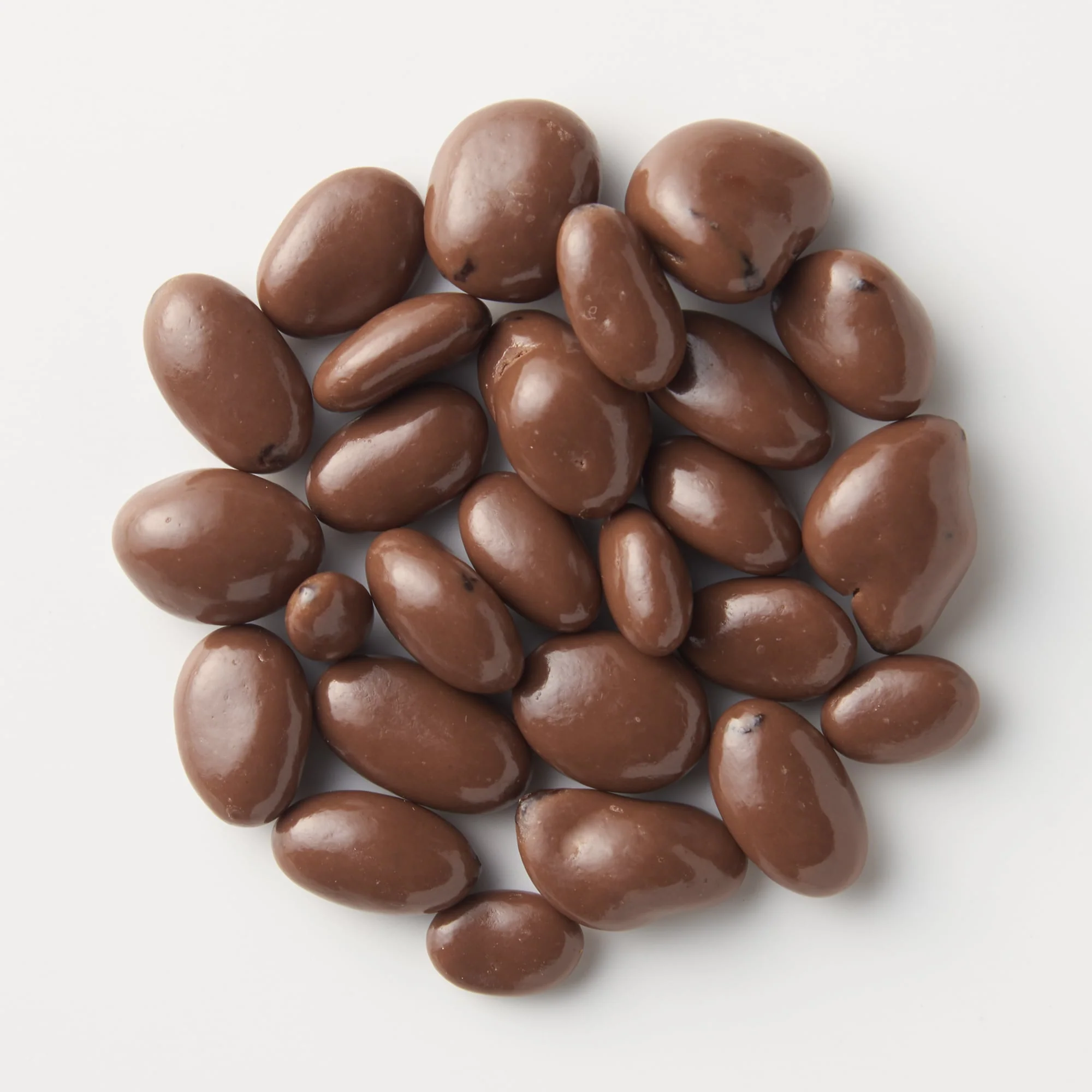 Chocolate Covered Raisins - Image 3