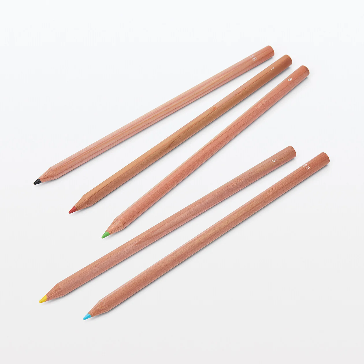 Coloured Pencils (12 Piece Set) - Image 2