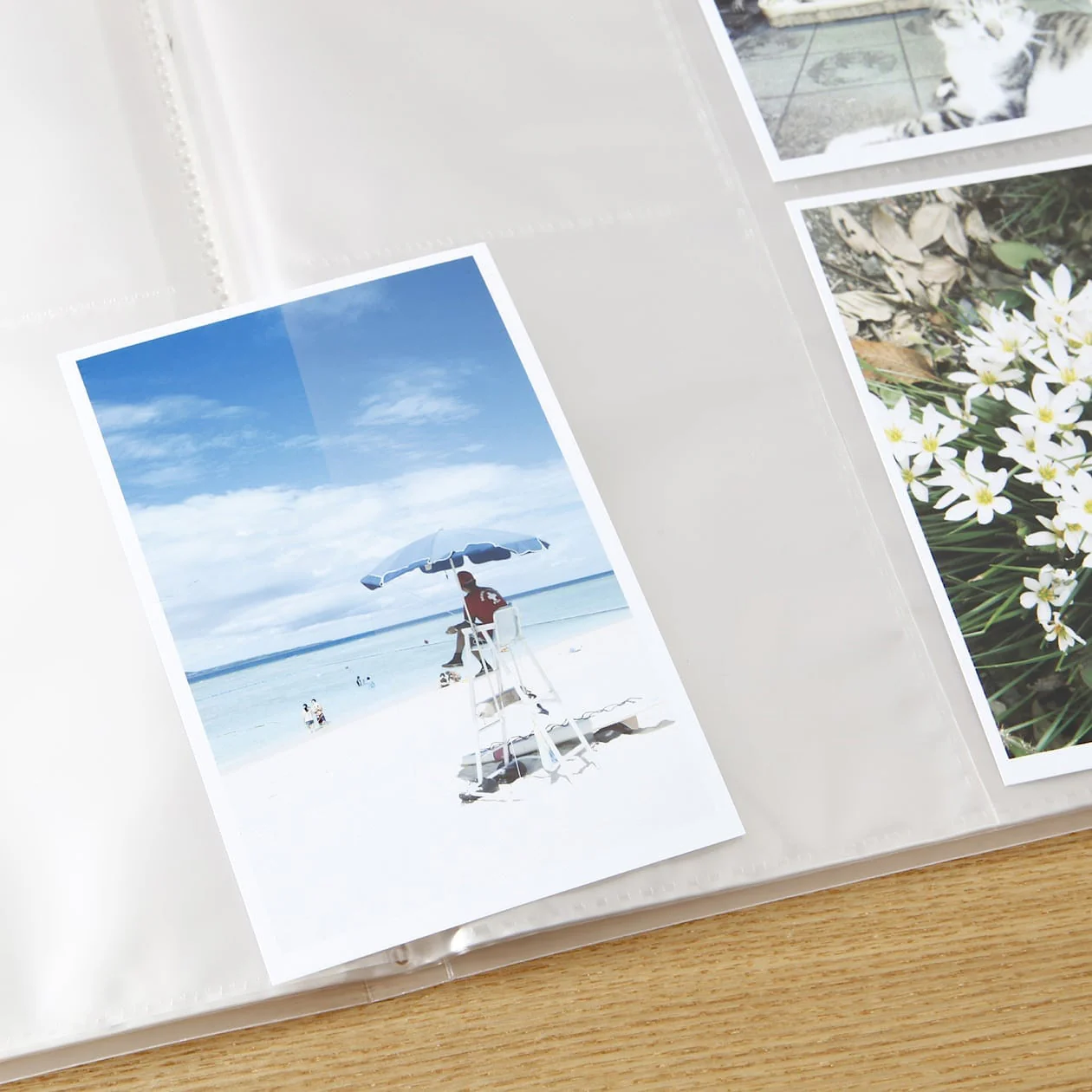 Polypropylene Photo & Postcard Holder