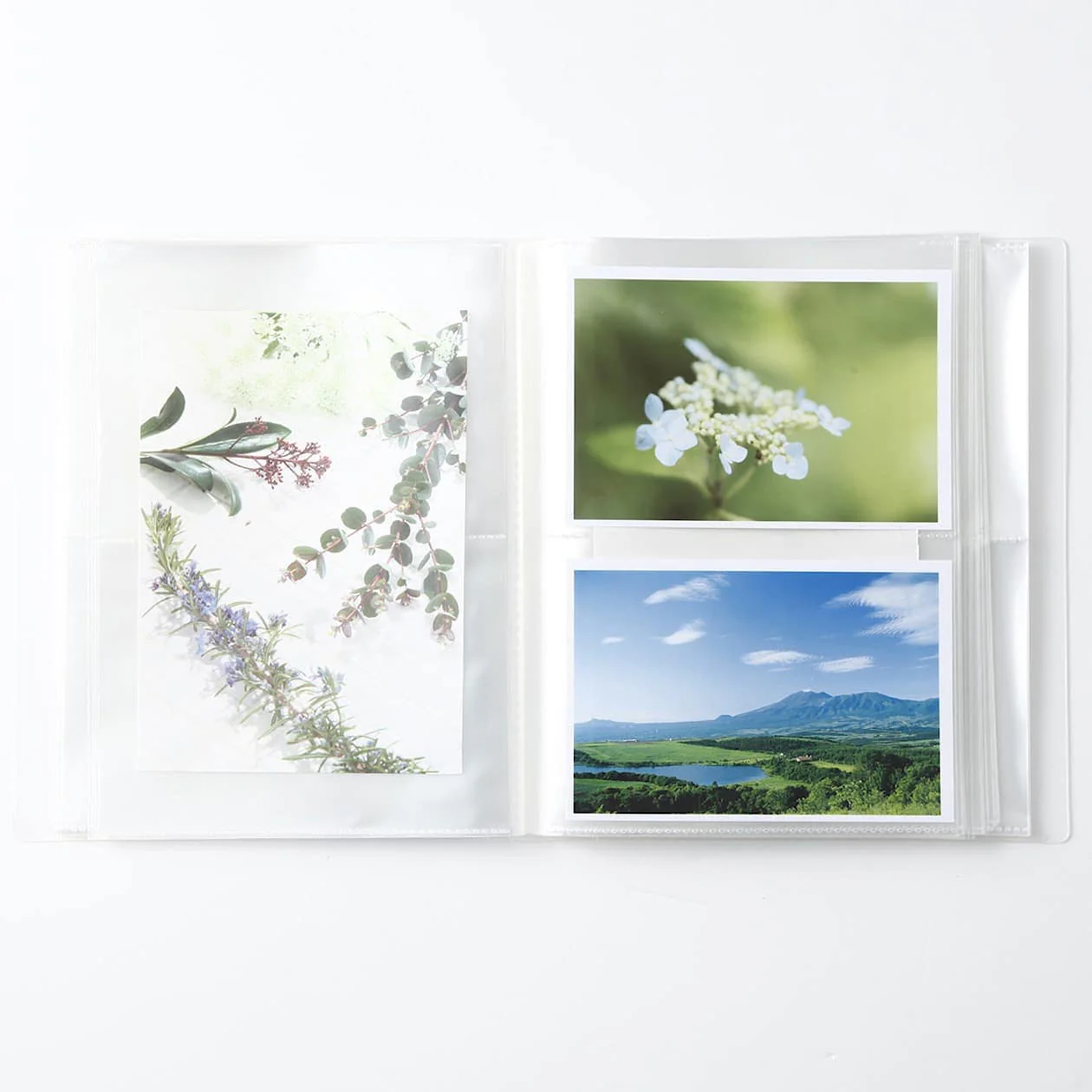 Polypropylene Photo & Postcard Holder 2 Slots - Image 13