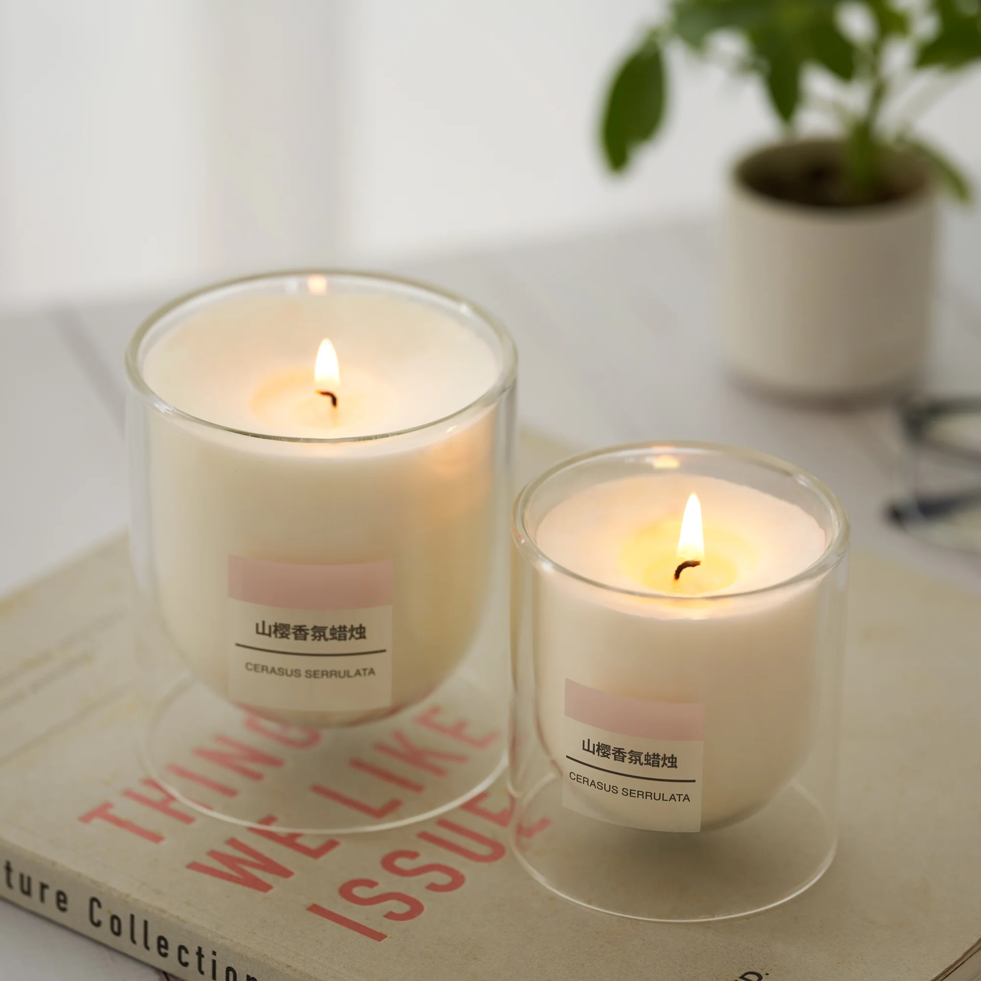 Scented Double Wall Glass Candle - Cherry Blossom - Image 13