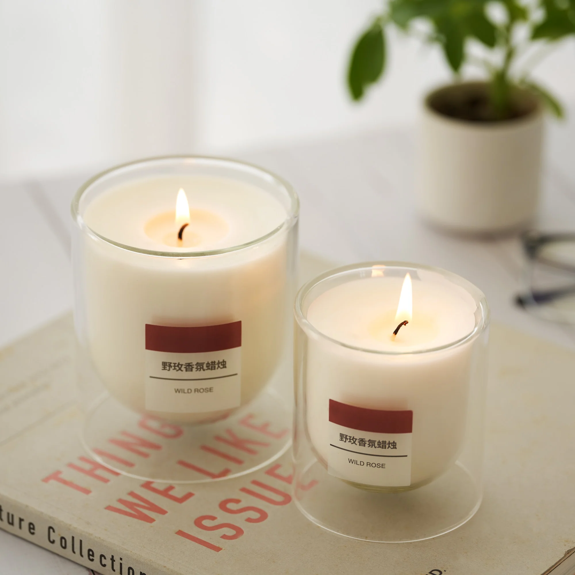 Scented Double Wall Glass Candle - Wild Rose - Image 12