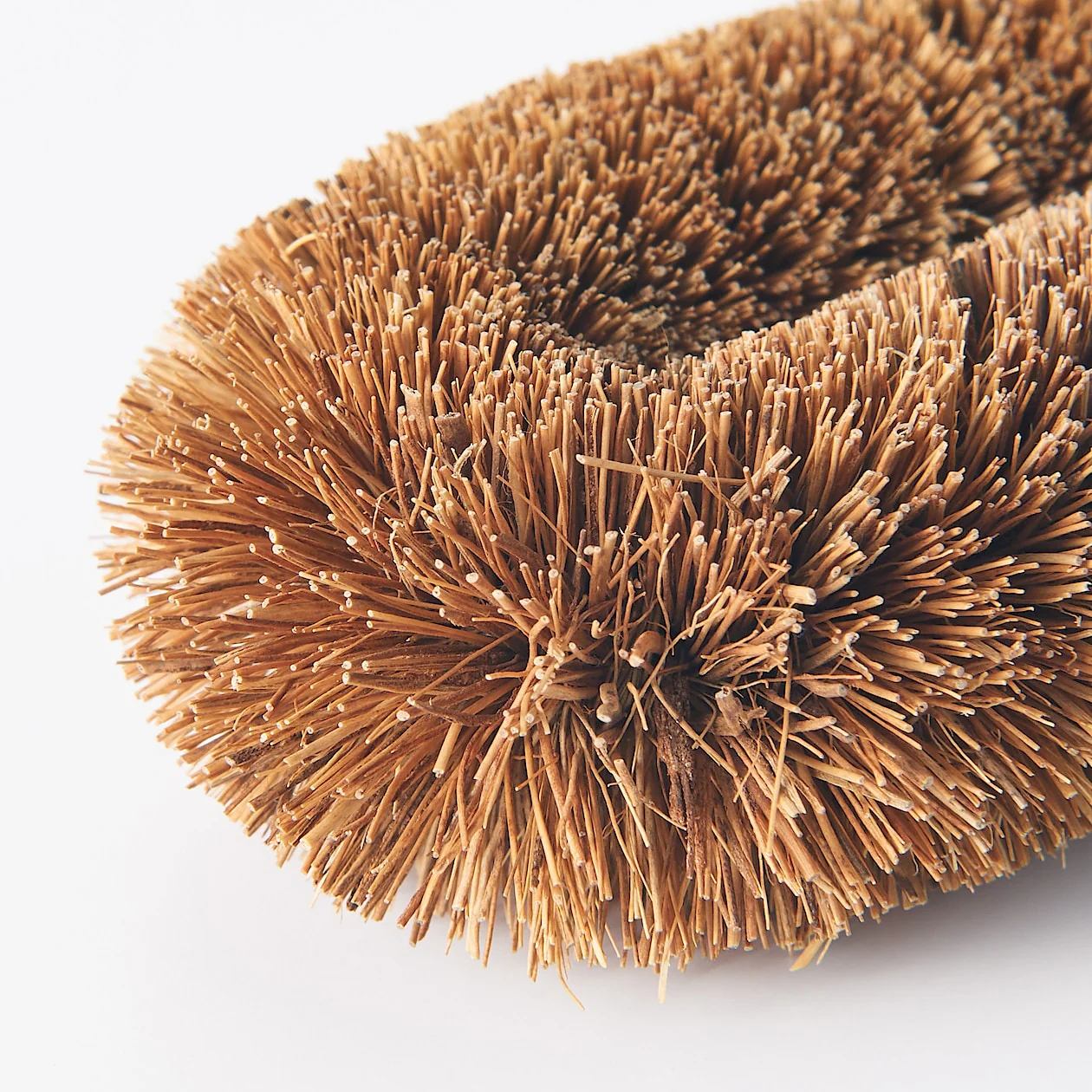 Scourer - Image 3