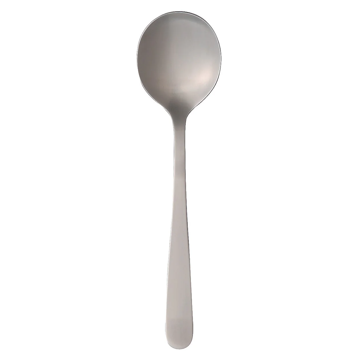 Stainless Steel Serving Spoon