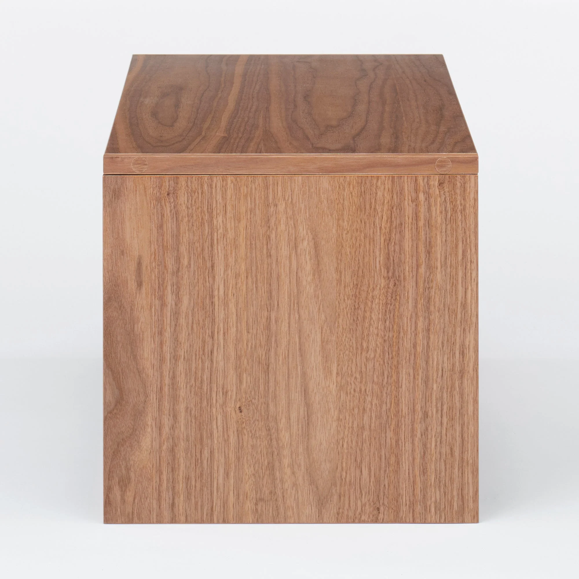 SUS Shelving Unit Box with Glass Door - Walnut - Image 5
